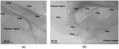 Thermal Degradation Kinetics and Viscoelastic Behavior of Poly(Methyl ...