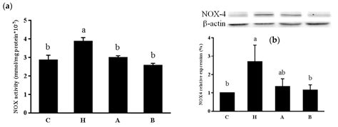 Renoprotective Effects of Antroquinonol in Rats with Nω-Nitro-l ...