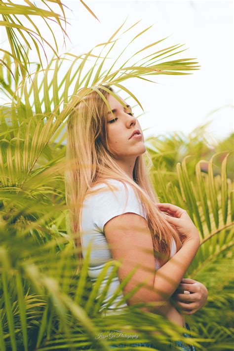 Image result for Spring Java Portrait