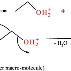 Image result for Neutralized Alcohol