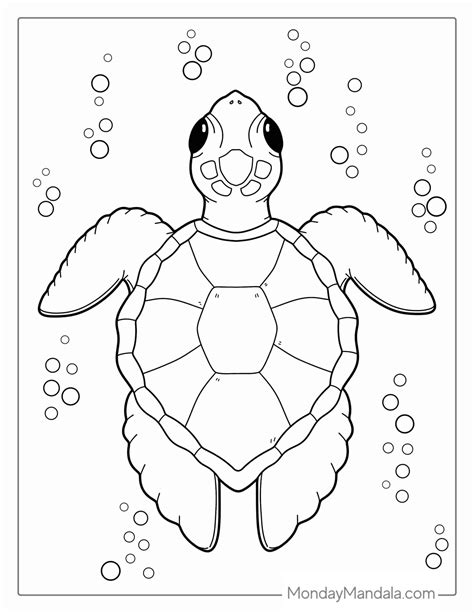 Sea turtle coloring pages – Artofit