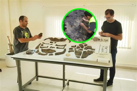 Paleontólogos descubren el esqueleto más completo de una tortuga de 110 ...