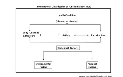 Image result for Who International Classification of Function