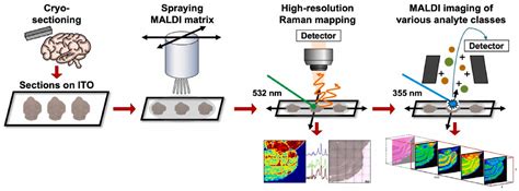 Correlative Raman Imaging: Development and Cancer Applications