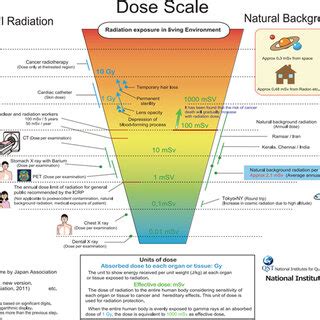 Radiation Scale Chart 的图像结果
