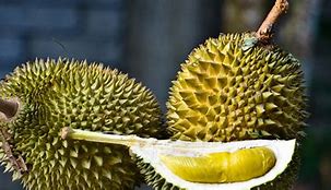 Image result for durians
