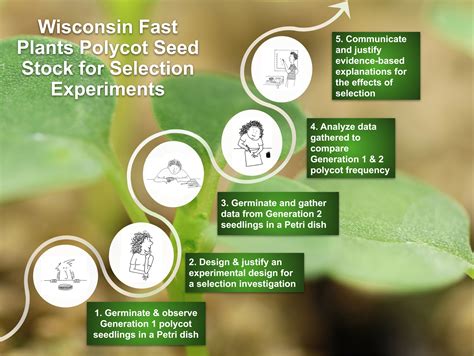 Polycot webinar investigation overview - Wisconsin Fast Plants®