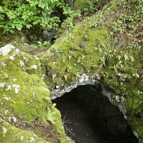Ruine Schalberg (Pfeffingen) - 2022 What to Know Before You Go (with ...