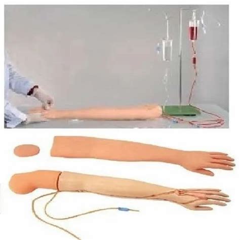 Image result for IV Training Arm Model