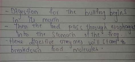 How does the bull frog digestive system work? - Brainly.in