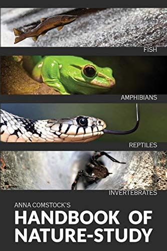 Buy The Handbook Of Nature Study in Color - Fish, Reptiles, Amphibians ...