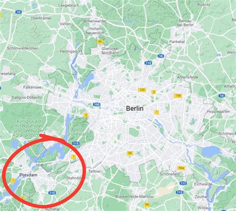 Berlin sees a big-cat frenzy as lioness roams free, searches on