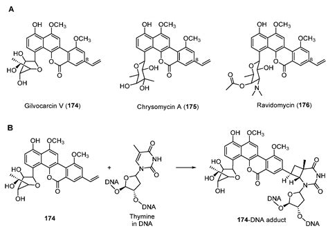 Biosynthesis of DNA-Alkylating Antitumor Natural Products