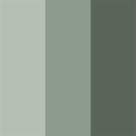 Muted Green Color Palette - ColorDrop