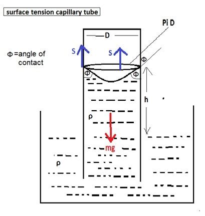Deduce an expression for the rise of liquid in a capillary tube ...