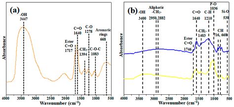 Amelioration of Coastal Salt-Affected Soils with Biochar, Acid Modified ...