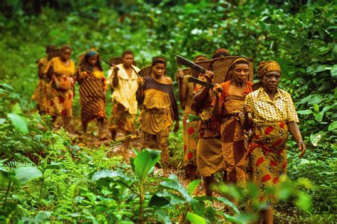 Explore the Enigmatic Baka Tribe: Unveiling the Secrets of the Central African Rainforest
