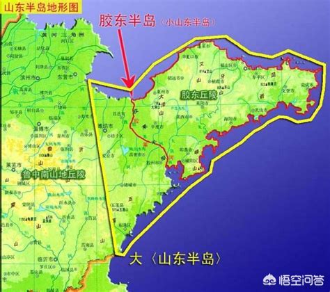 胶州王大海：为一线抗疫提供强有力后勤保障-半岛网