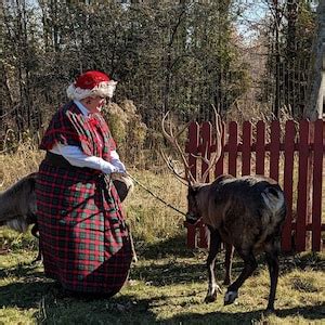 Prairie Bonnet Pattern 的图像结果