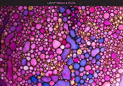 Image result for Free Download Native Instruments Leap