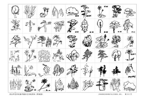 100种植物简笔画8张_word文档在线阅读与下载_免费文档