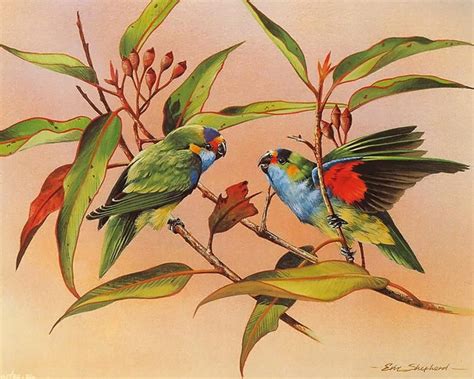 آبی گرافیک | دانلود آموزش ،گرافیک و عکس