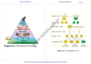 12th Bio Botany TM 的图像结果