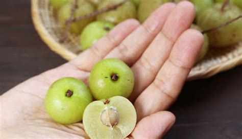 5 Ayurvedic Herbs That Help You To Fight Obesity - lifeberrys.com