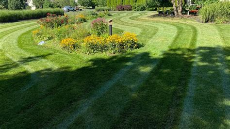 Spring Lawn Care That'll Set the Stage for a Thriving Lawn | Hoffmans ...