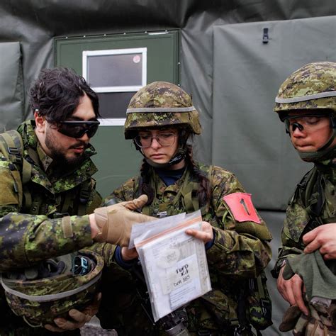 Military Basic 的图像结果