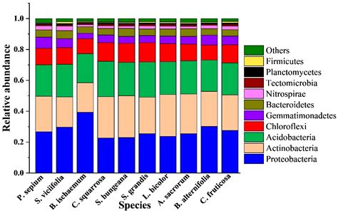 Stochastic Processes Shape Bacterial Community Diversity Patterns along ...