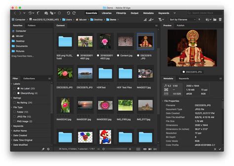 Image result for Tutorial for Adobe Bridge