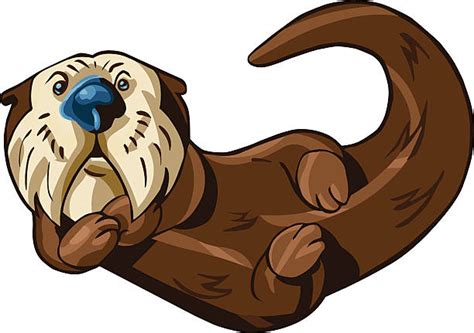 Royalty Free Sea Otter Clip Art, Vector Images & Illustrations - iStock