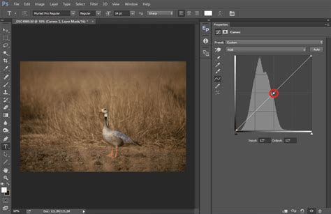 Image result for Curve Photoshop Tutorial