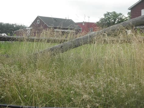 Situational Self Defense for Families - @home,car& in public places ...