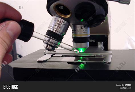 How To Oil Immersion Microscope at Raymond Eudy blog