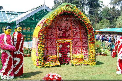 Ooty Flower Show 2014