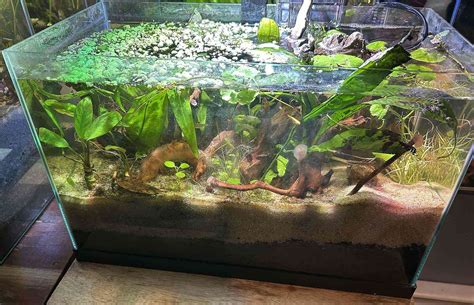 How to DIY Your Own Glass Aquarium - hygger