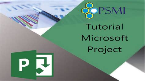 Microsoft Project Tutorial 2020 的图像结果