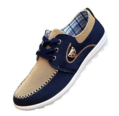 Buy tazimall Casual Sneakers for Men Comfortable Lace-Up Canvas Shoes ...