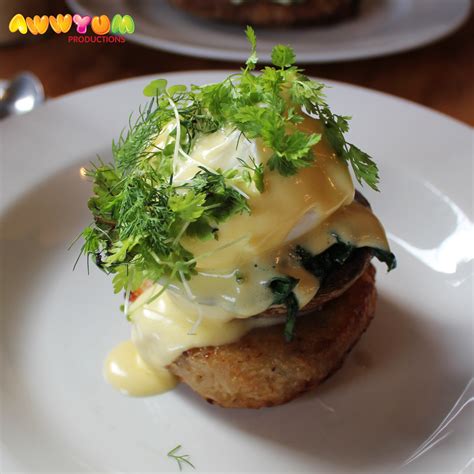 Image result for AXIL Coffee Roasters Logo Vector