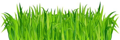 Fresh Green Grass PNG Clip Art Image | Gallery Yopriceville - High ...