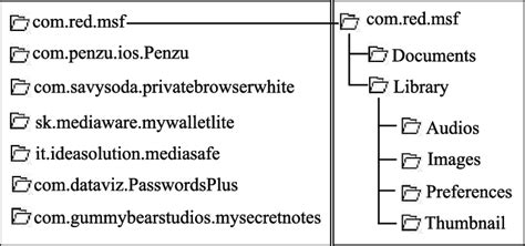 Image result for Vault File Name Example