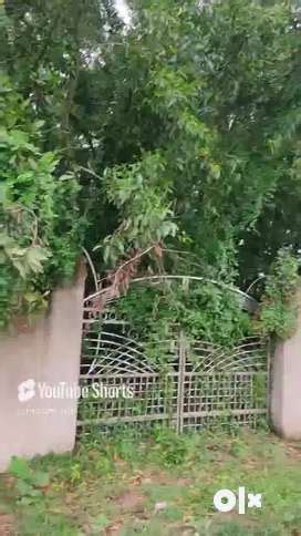 Lands & Plots for sale in Bhadrak | OLX
