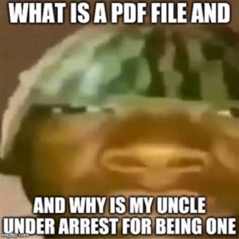 Image result for PDF File Meme