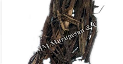 Black root (Vilamitchai ver)