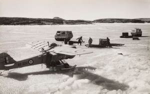 The Ultra-Versatile M29 Weasel in Photos | War History Online