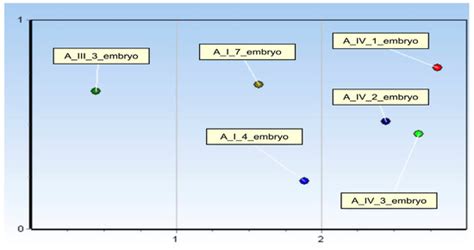 Detection of Development-Specific MicroRNAs in Rabbit Embryos and ...