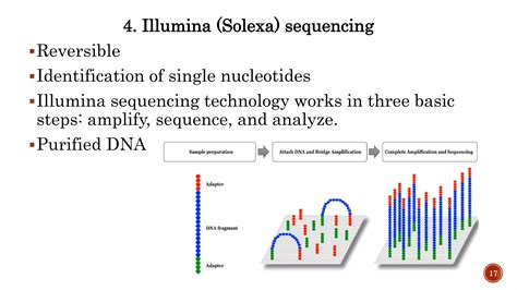 DNA Sequencing Methods 的图像结果