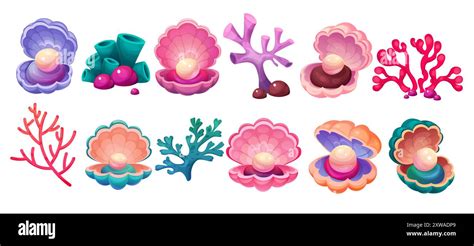 Shell 的图像结果